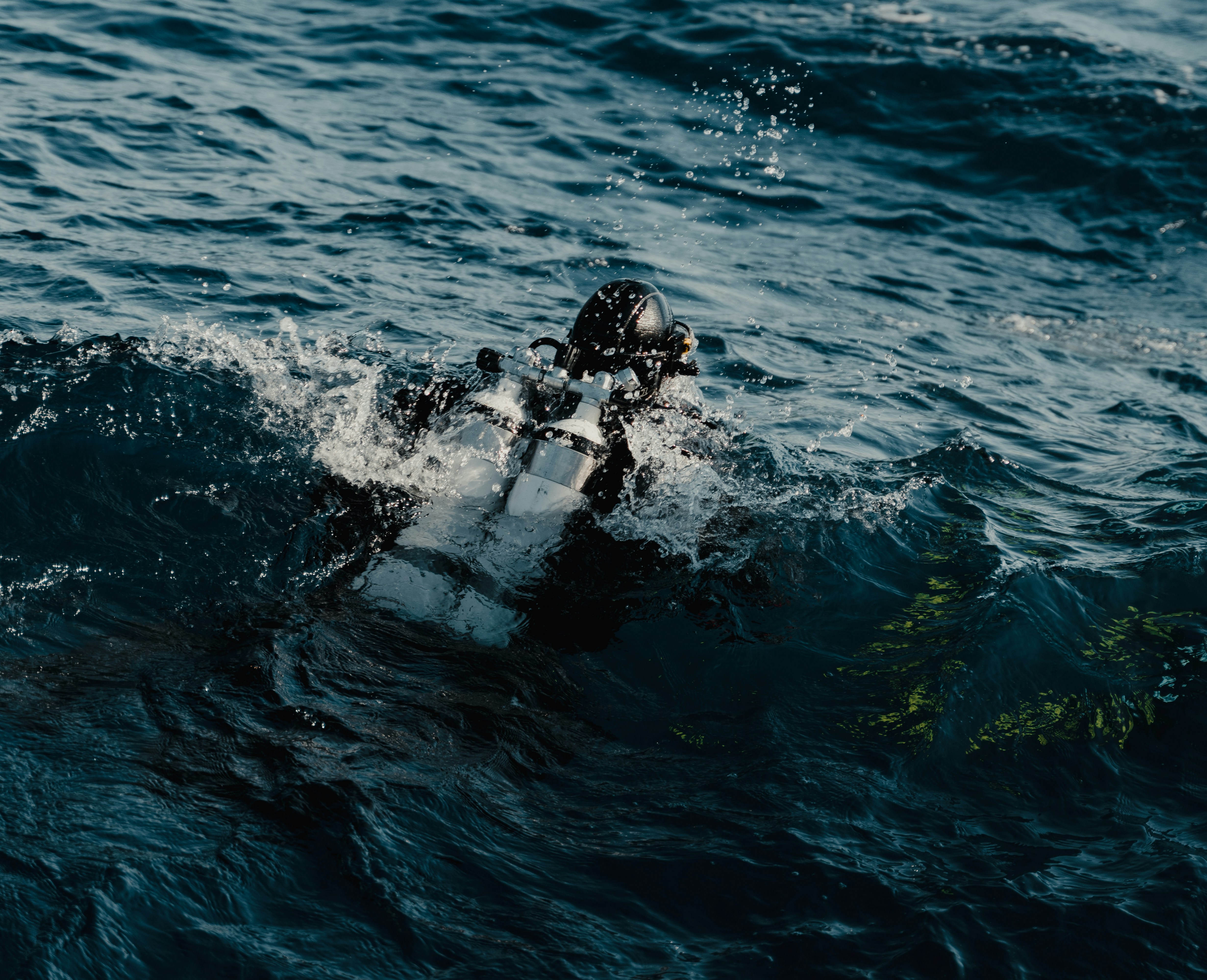 Photo by michielannaert