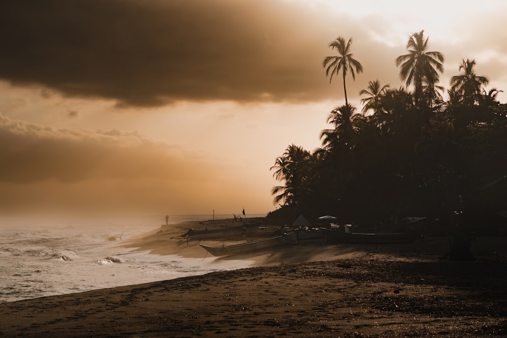 a beach with a boat on the shore and palm trees in the background