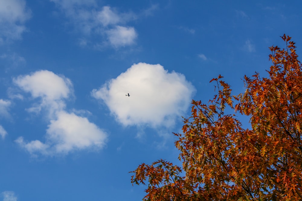 a plane flying through a blue cloudy sky