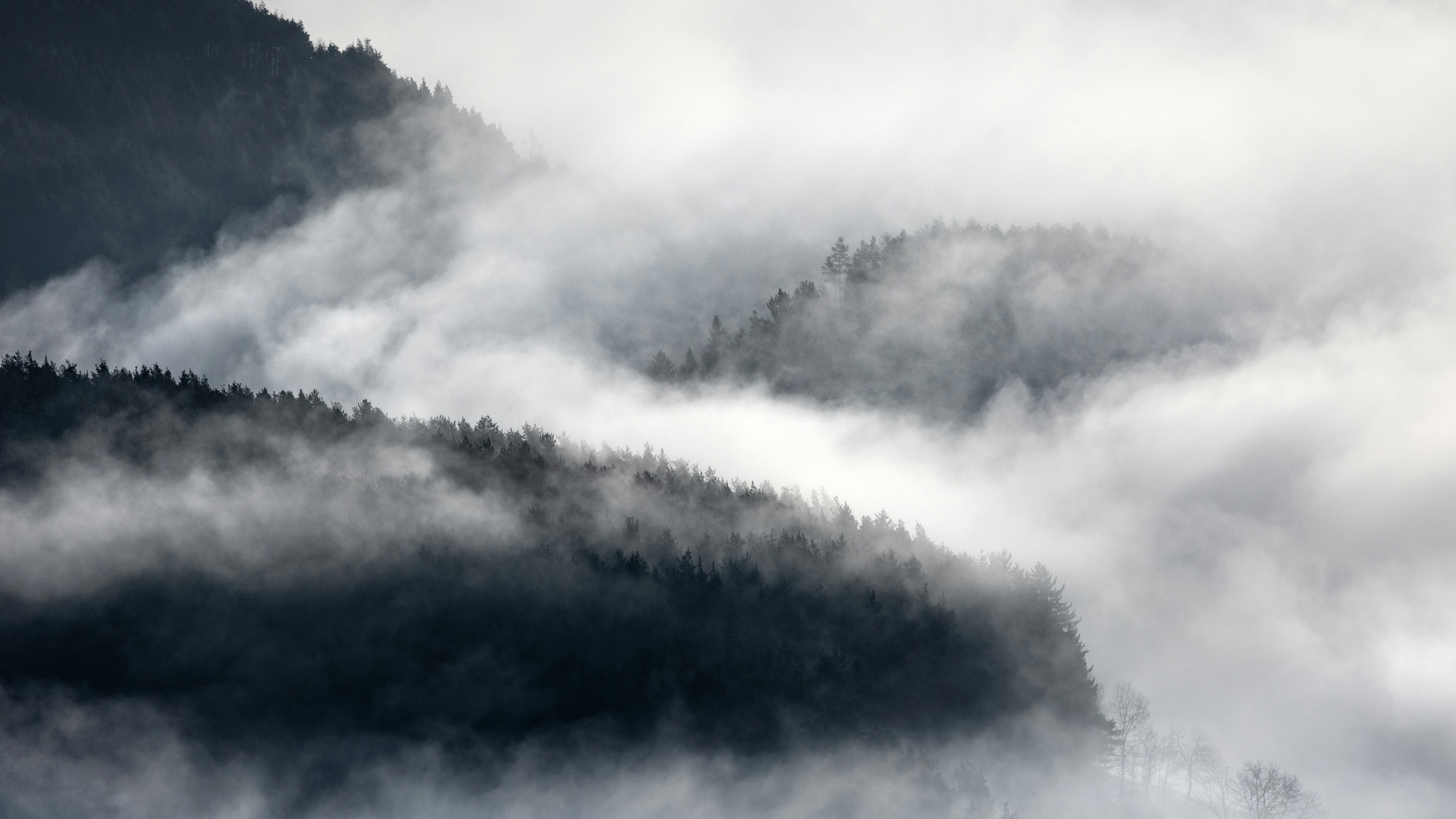 Photo by marekpiwnicki