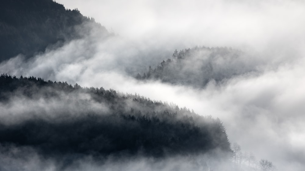 a mountain covered in fog with trees in the background