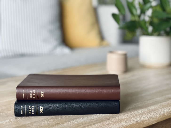 Two hardcover books are stacked neatly on a light wooden table. One book has a dark brown cover, and the other has a black cover. Both are titled 'Holy Bible NLT' and published by Tyndale. In the background, there is a blurred view of a cozy living space with a striped pillow, a yellow pillow, a potted plant with green leaves, and a small cup.
