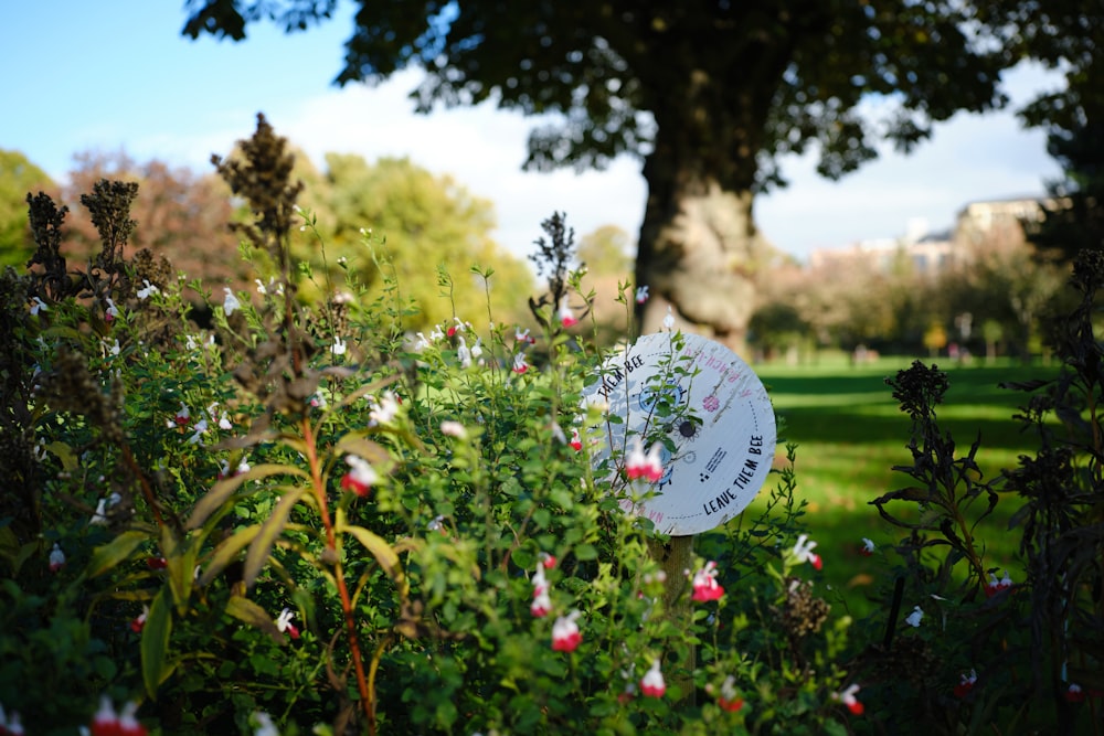 a white umbrella sitting in the middle of a garden