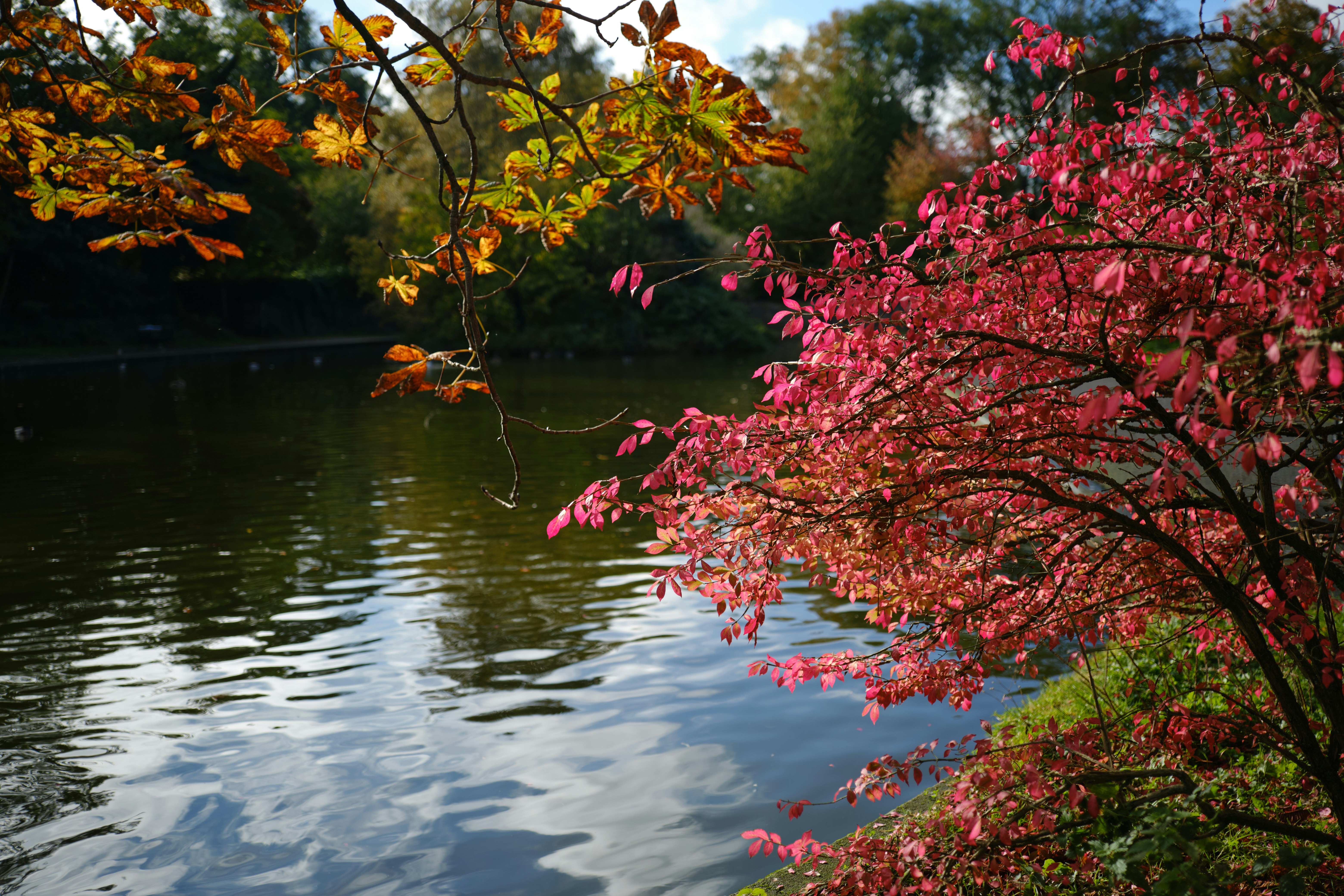 Photo by lierra