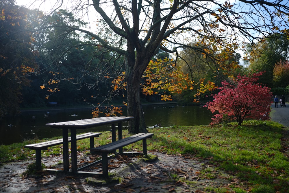 a picnic table next to a tree in a park