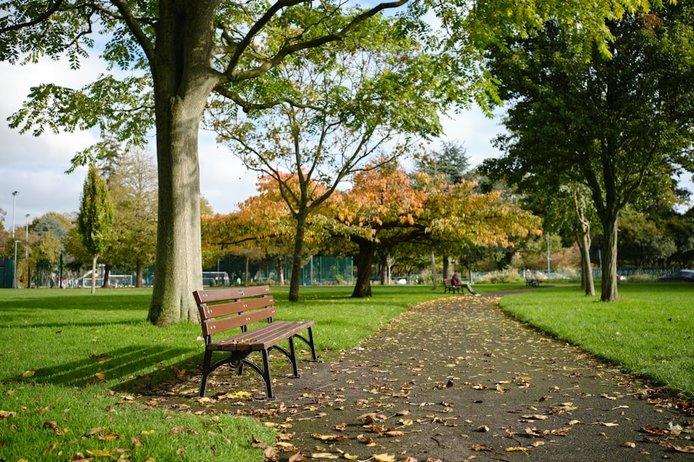 a park bench sitting in the middle of a park