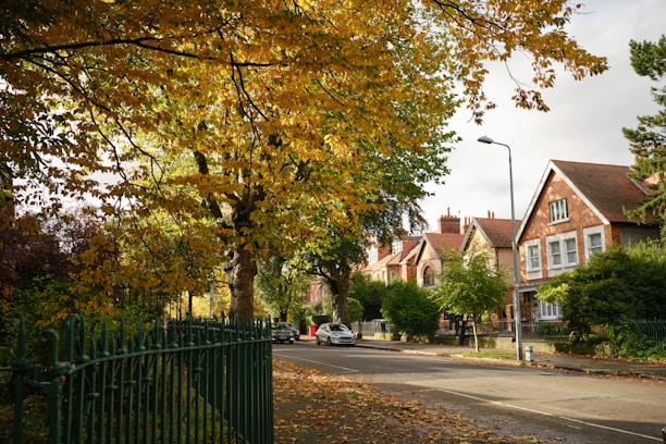 A charming brick townhouse nestled in a quiet street with autumn leaves around.