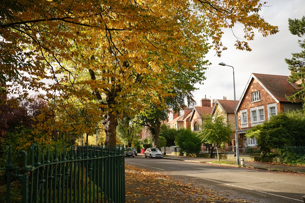 a street lined with houses and trees with yellow leaves on the ground