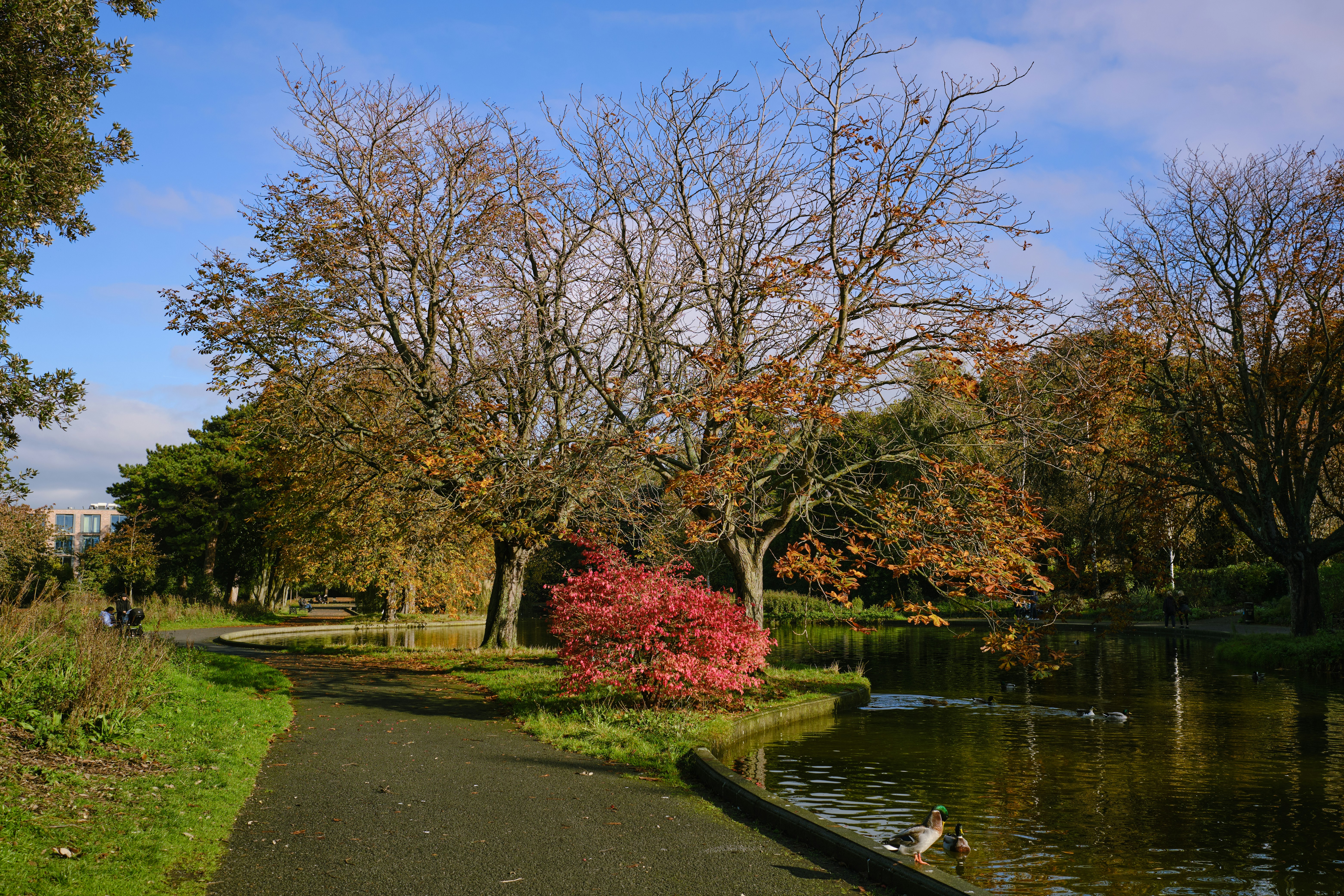 Warnock Park