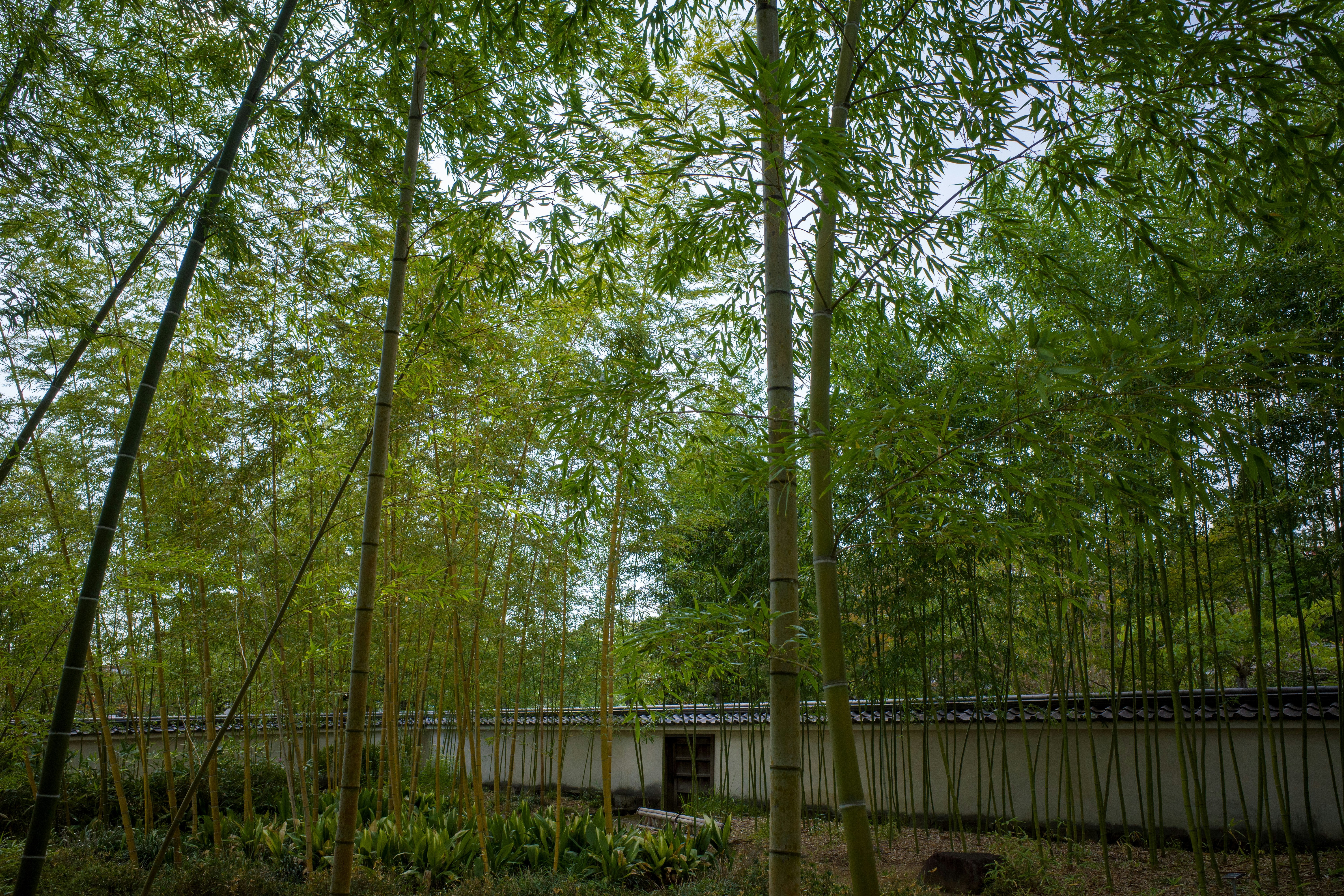 Rosewood Nature Study Area