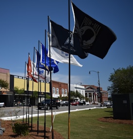 A row of flags is displayed along a street, including a black POW/MIA flag and other military flags. The flags are set against a backdrop of a grassy area and a series of storefronts housed in older, red-brick buildings. Cars are parked along the street, and a lamppost is visible.