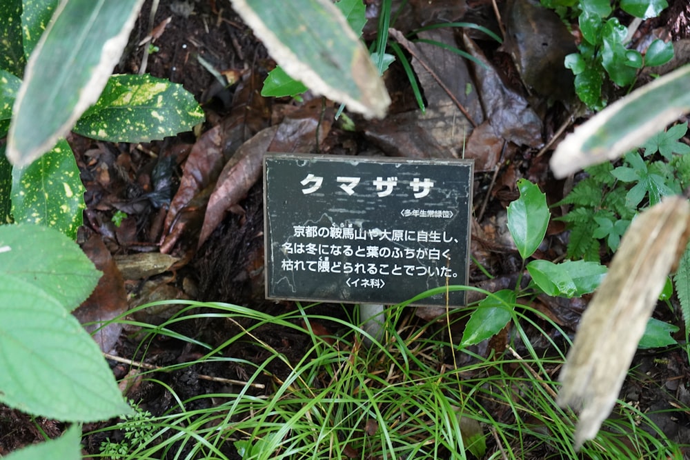 a sign that is in the grass near plants