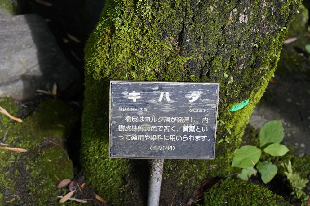 a sign on a tree that is covered in moss