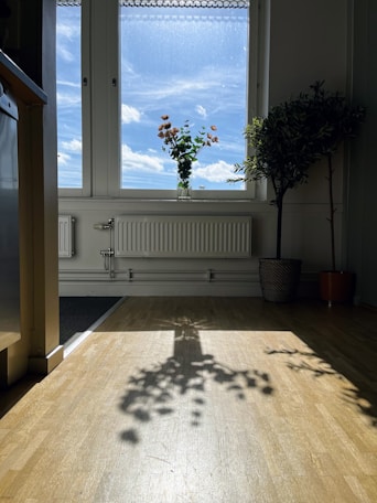 a tree casts a shadow on a wooden floor