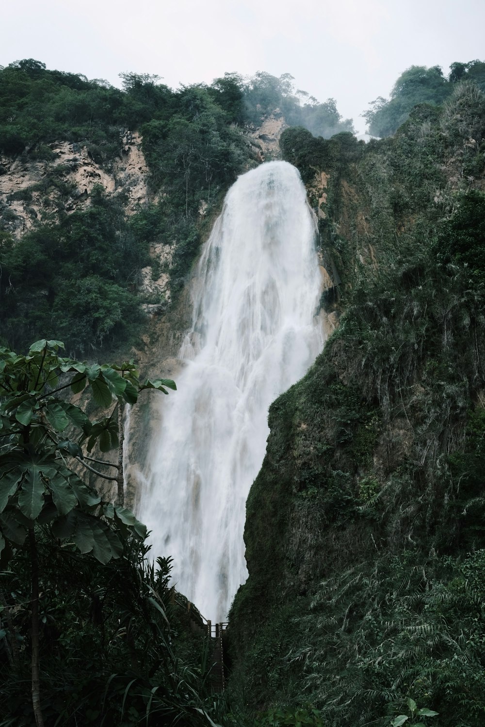 a large waterfall in the middle of a forest