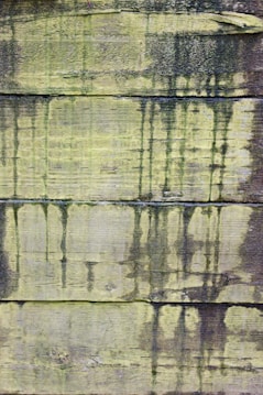 a close up of a wooden wall with green paint