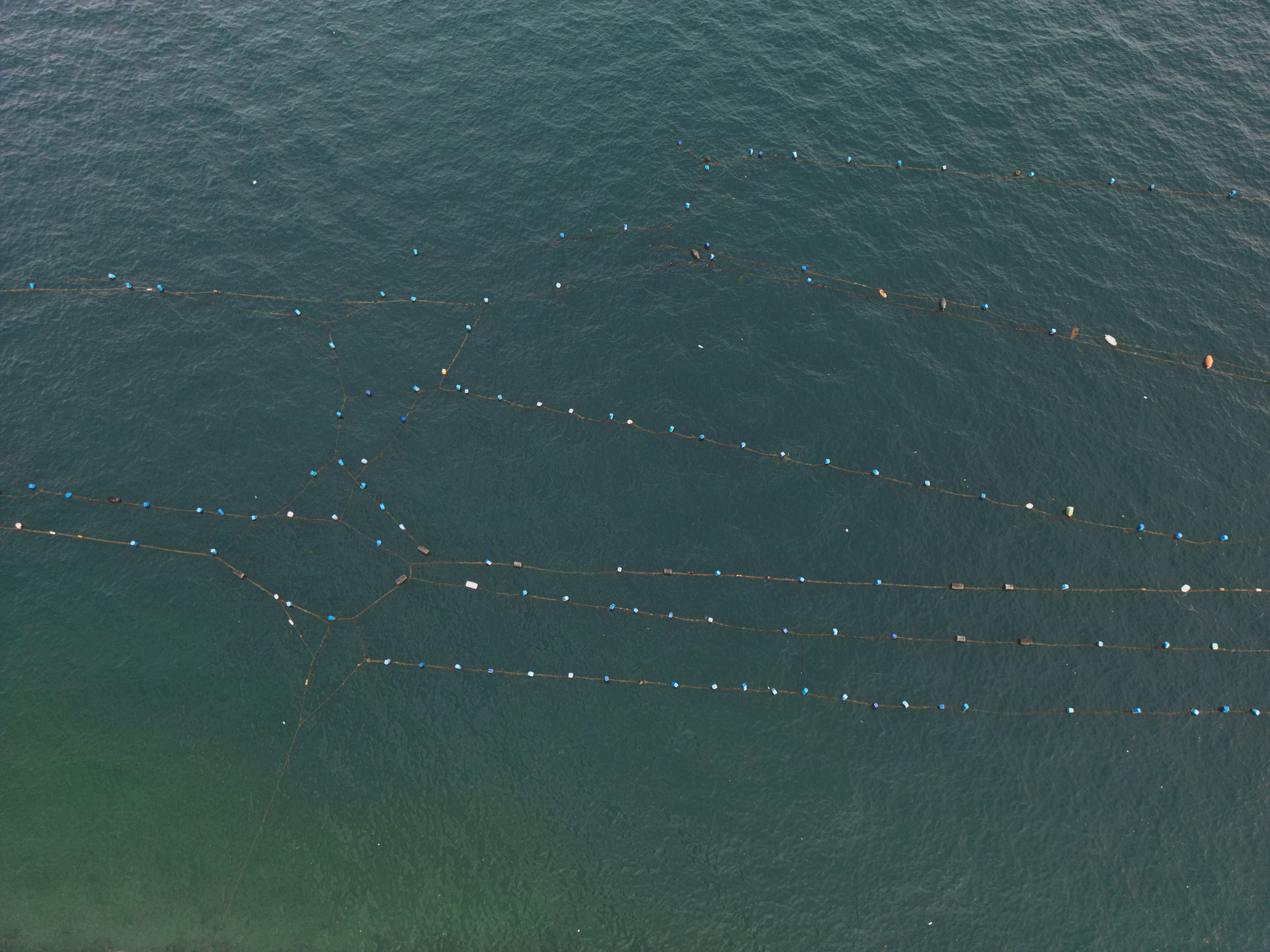 A large group of fishing nets in the water photo – Free Sea Image on ...