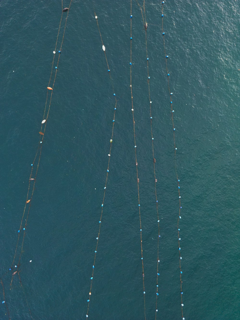 a group of boats floating on top of a large body of water