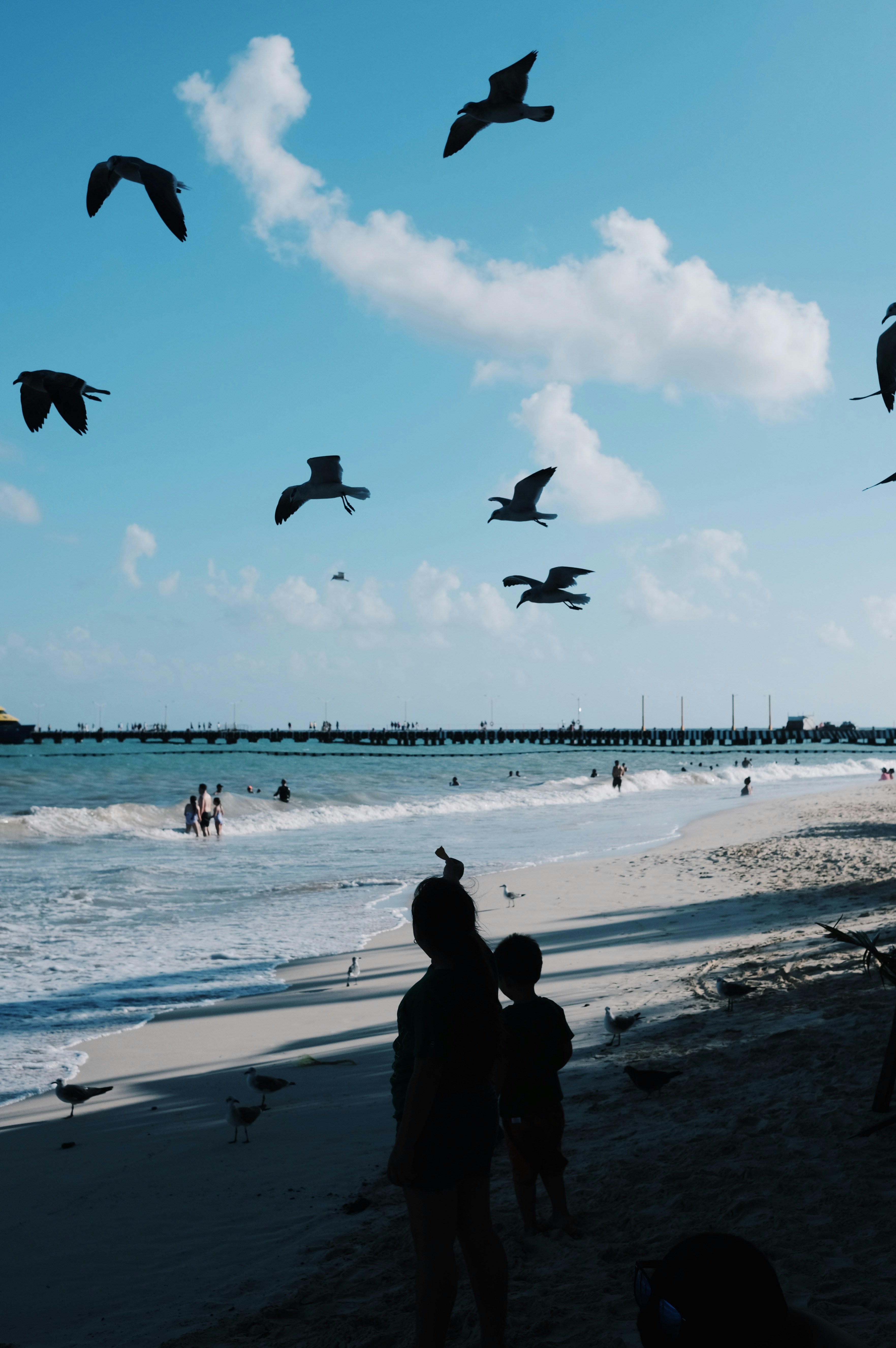 Playa del Carmen – Transportation & Getting Around