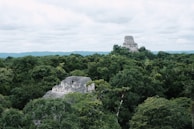 Ancient Mayan temples rise from the dense green jungle canopy, with large stone structures partially obscured by lush tropical foliage. The scene extends towards a horizon of distant hills under a cloudy sky.