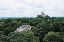 Ancient Mayan temples rise from the dense green jungle canopy, with large stone structures partially obscured by lush tropical foliage. The scene extends towards a horizon of distant hills under a cloudy sky.