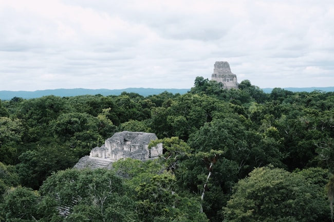 Sunrise over the ancient Mayan ruins of Tikal, with mist weaving through towering stone temples.