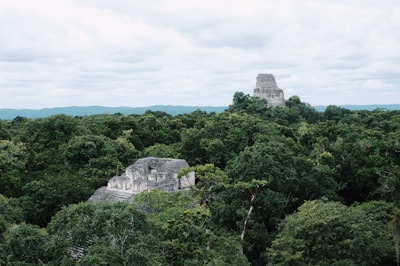 Ancient Mayan temples rise from the dense green jungle canopy, with large stone structures partially obscured by lush tropical foliage. The scene extends towards a horizon of distant hills under a cloudy sky.