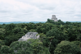 Ancient Mayan temples rise from the dense green jungle canopy, with large stone structures partially obscured by lush tropical foliage. The scene extends towards a horizon of distant hills under a cloudy sky.