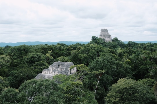 Ancient Mayan temples rise from the dense green jungle canopy, with large stone structures partially obscured by lush tropical foliage. The scene extends towards a horizon of distant hills under a cloudy sky.