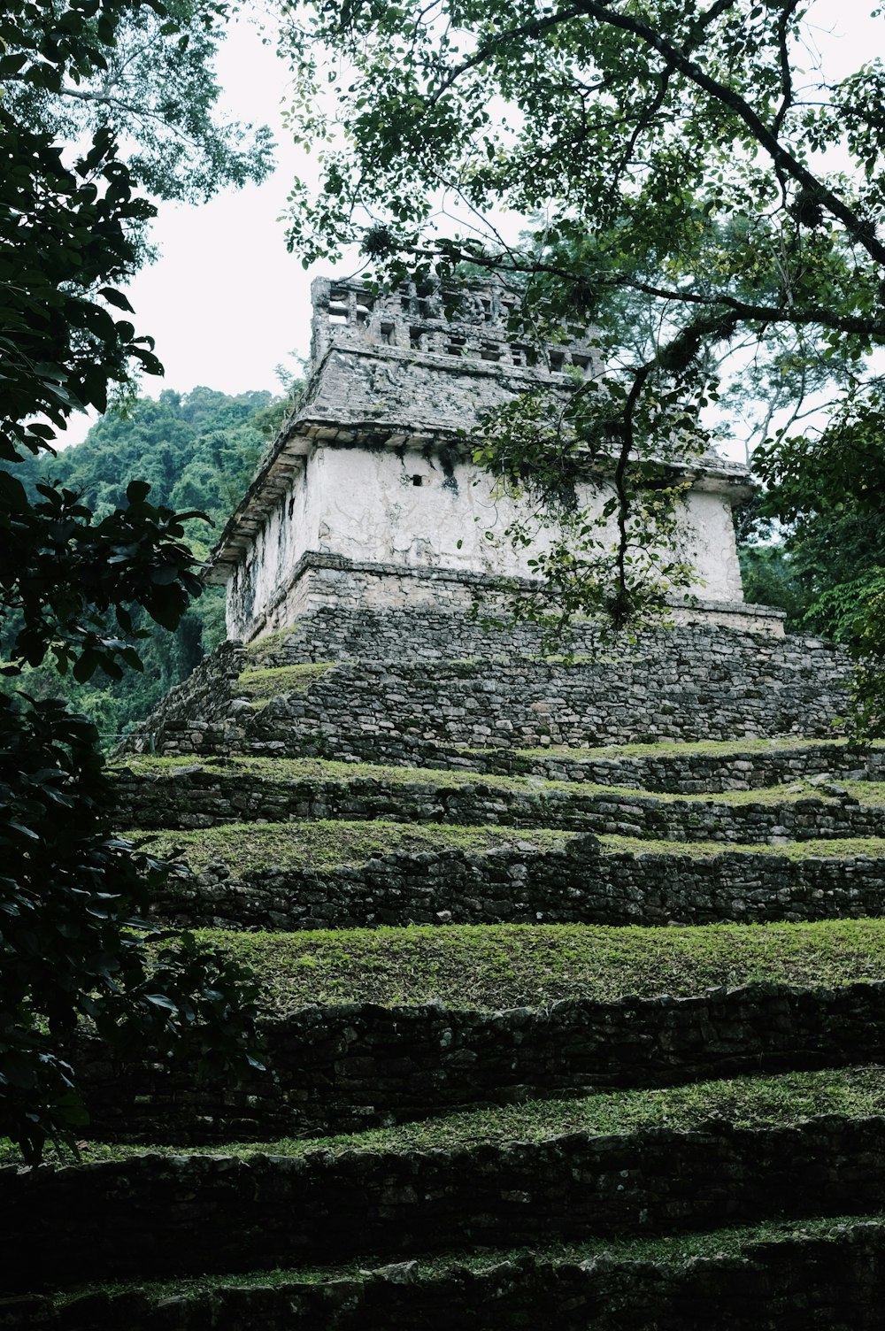 a large stone structure sitting in the middle of a forest