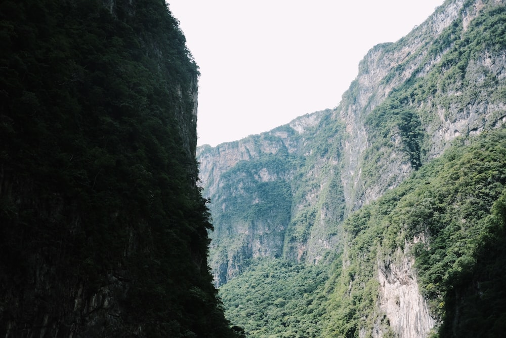 a narrow river surrounded by mountains and trees