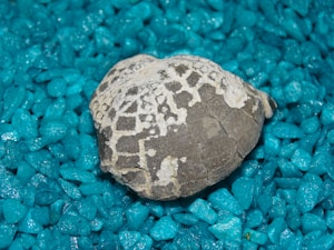 Pepita Naturale