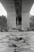 A black and white photograph of a large concrete bridge spanning across a frozen river. The bridge's massive pillars extend from the water up to the bridge deck, with graffiti visible on the lower parts of the pillars. Leafless trees are present in the background, contributing to a stark, wintry atmosphere.