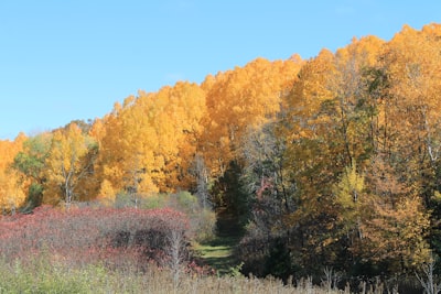 Kettle Moraine State Forest