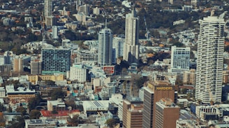 A dense urban landscape with numerous high-rise buildings of varying architectural styles. Among the structures, prominent signage such as 'Coca-Cola' and 'HARDERS' is noticeable. The area appears to be a mix of residential and commercial buildings surrounded by patches of greenery.