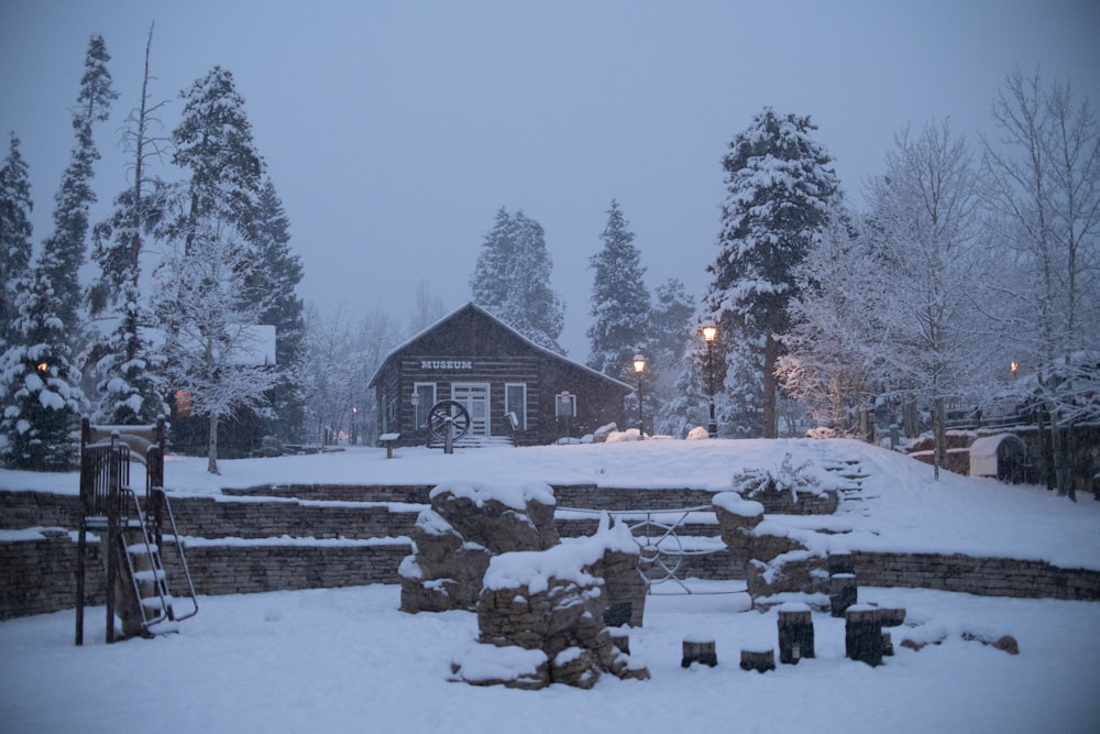 a snow covered park with benches and trees