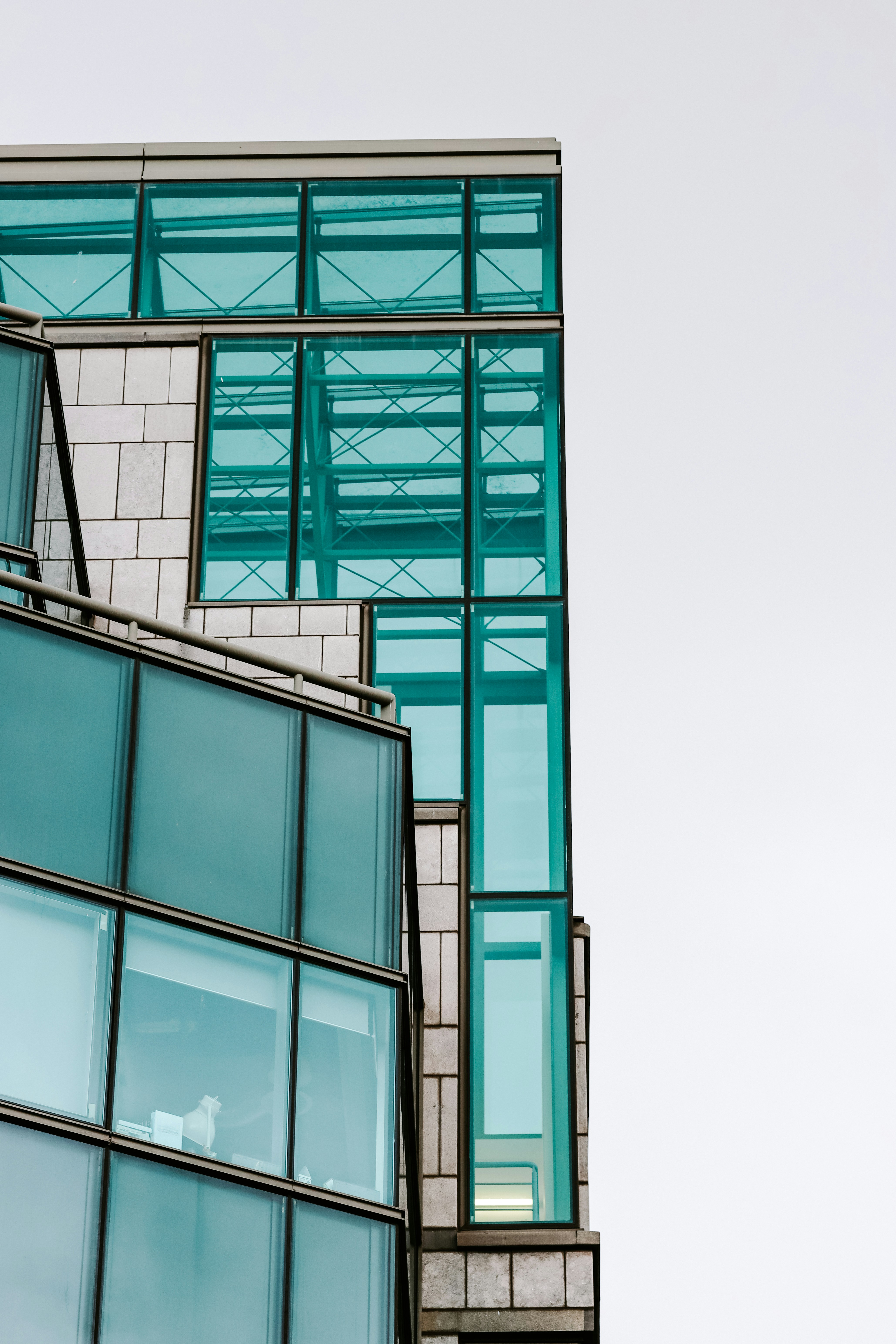 Photo by himo_beast1996