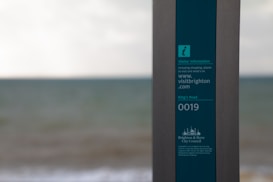 A sign with visitor information is positioned against a blurred backdrop of the sea and sky. The sign, labeled with 'Visitor Information', offers details such as a website link to visitbrighton.com and is associated with Brighton & Hove City Council. It stands out with a blue information symbol and organized text.