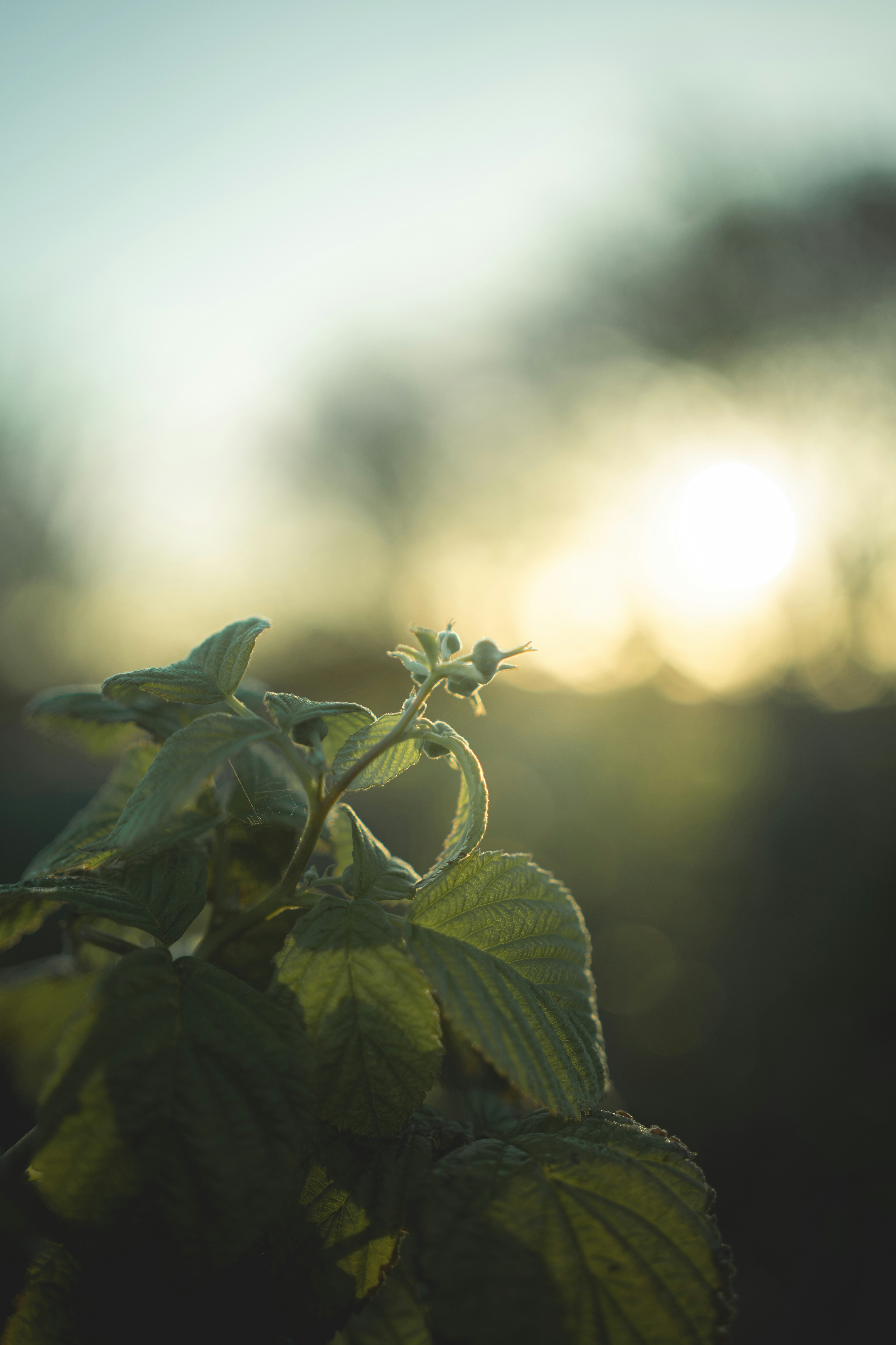 Photo by alexisnthere_