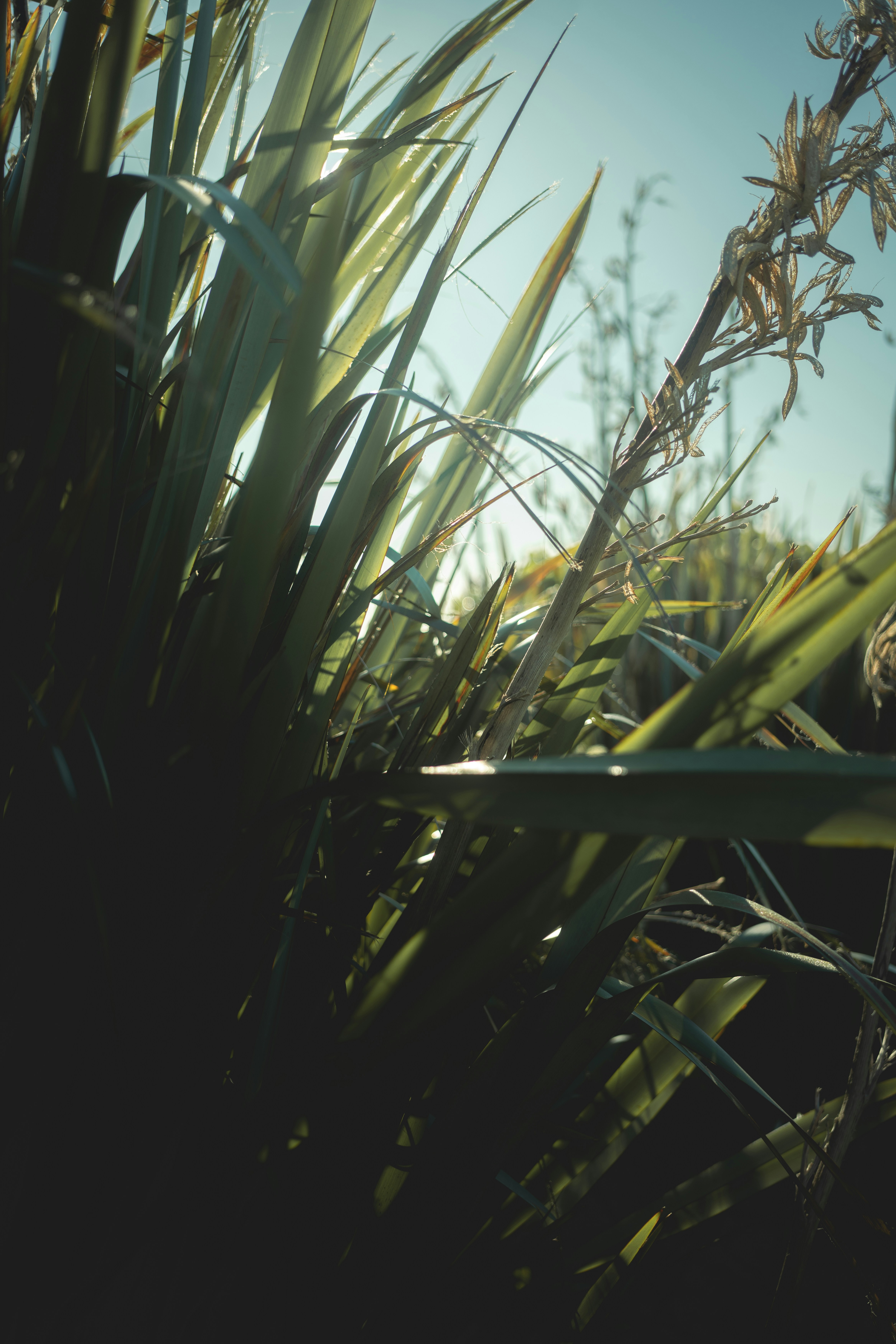 Photo by alexisnthere_