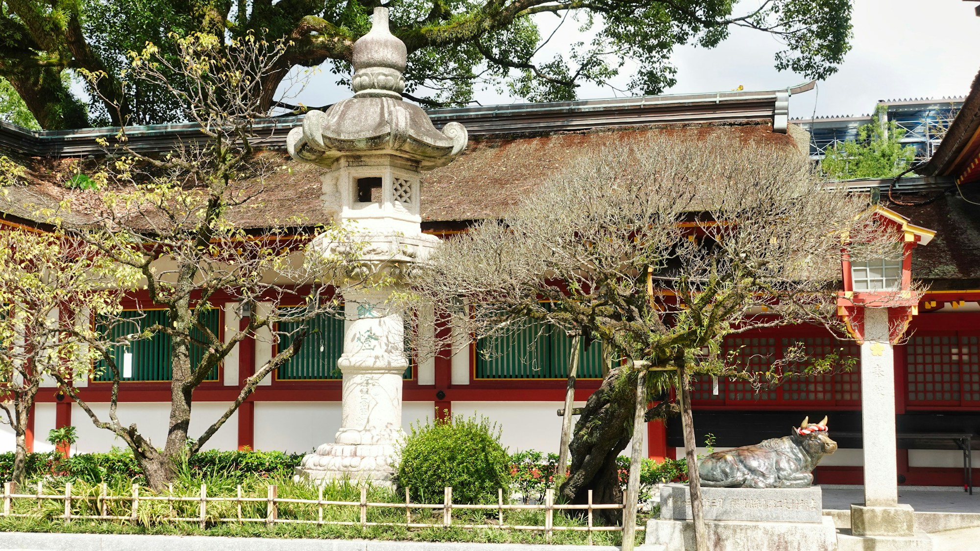 Dazaifu Travel Guide: Exploring Culture, History, and Natural Beauty