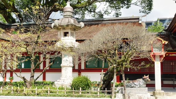 Dazaifu Travel Guide: Exploring Culture, History, and Natural Beauty