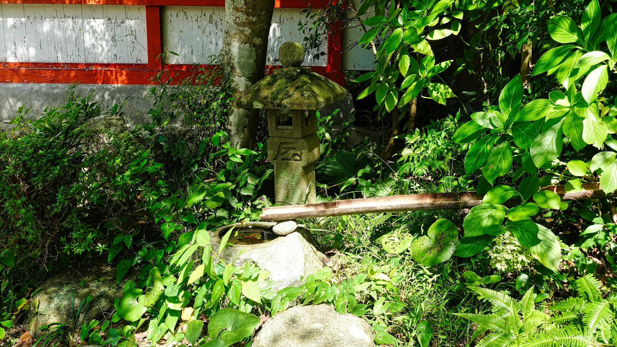 Dazaifu: Exploring Local Culture & Traditions