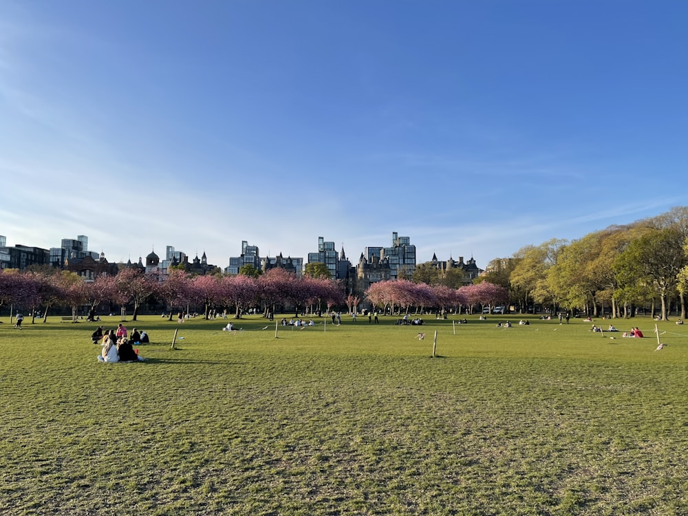 a group of people sitting on top of a lush green field