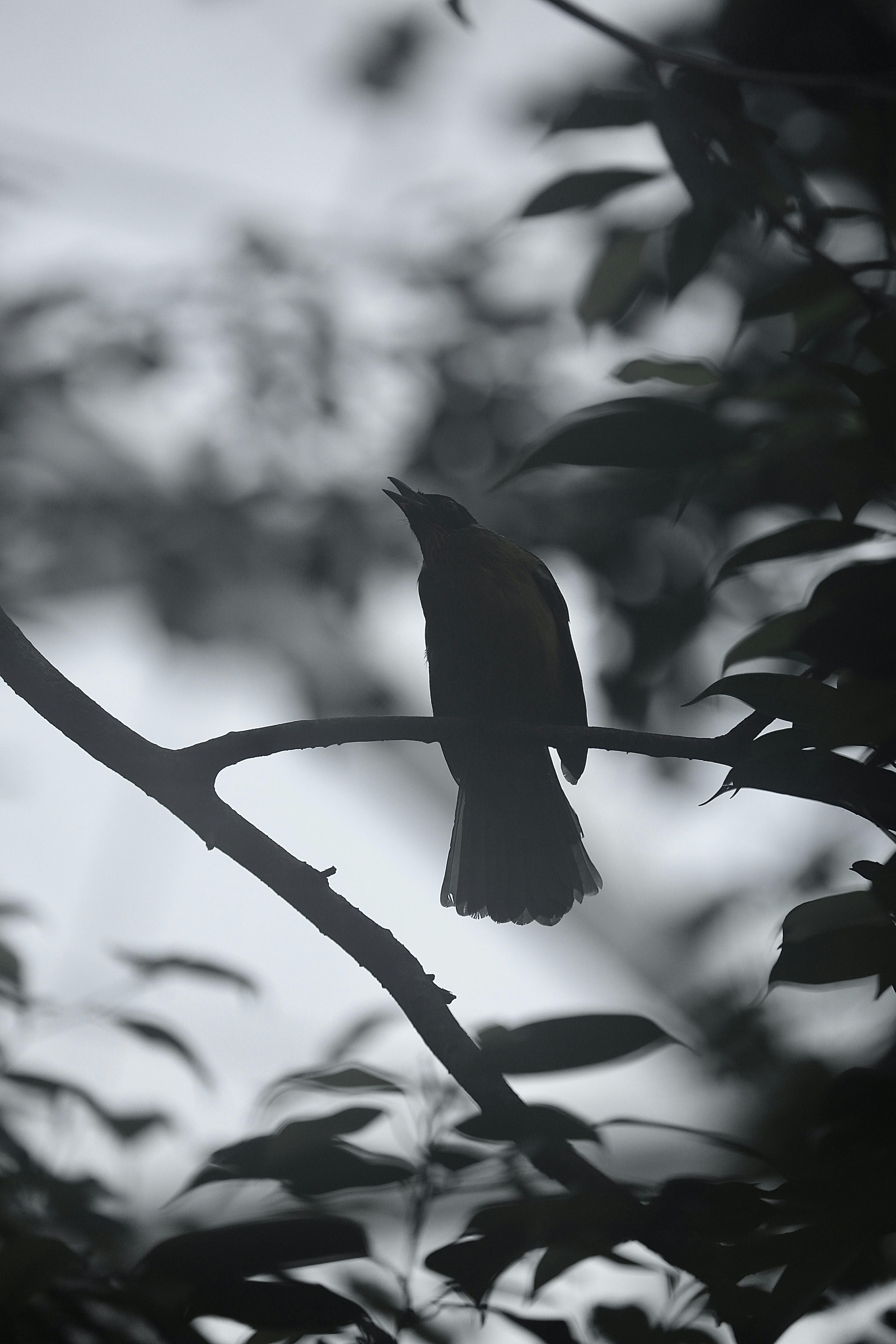 Photo by navkeer1431