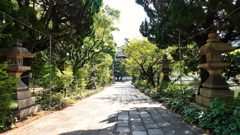 a stone walkway between trees and bushes