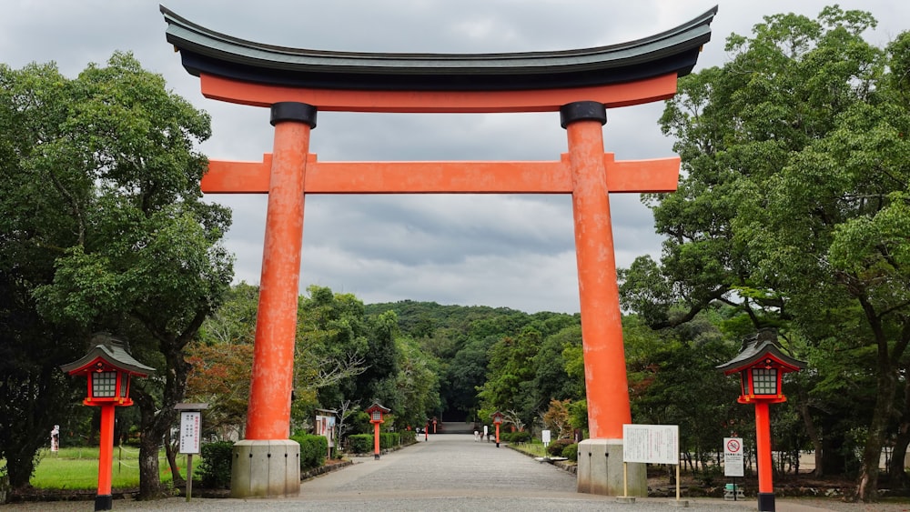 a large orange tori tori tori tori tori tori tori tori tori tori tori tori tori