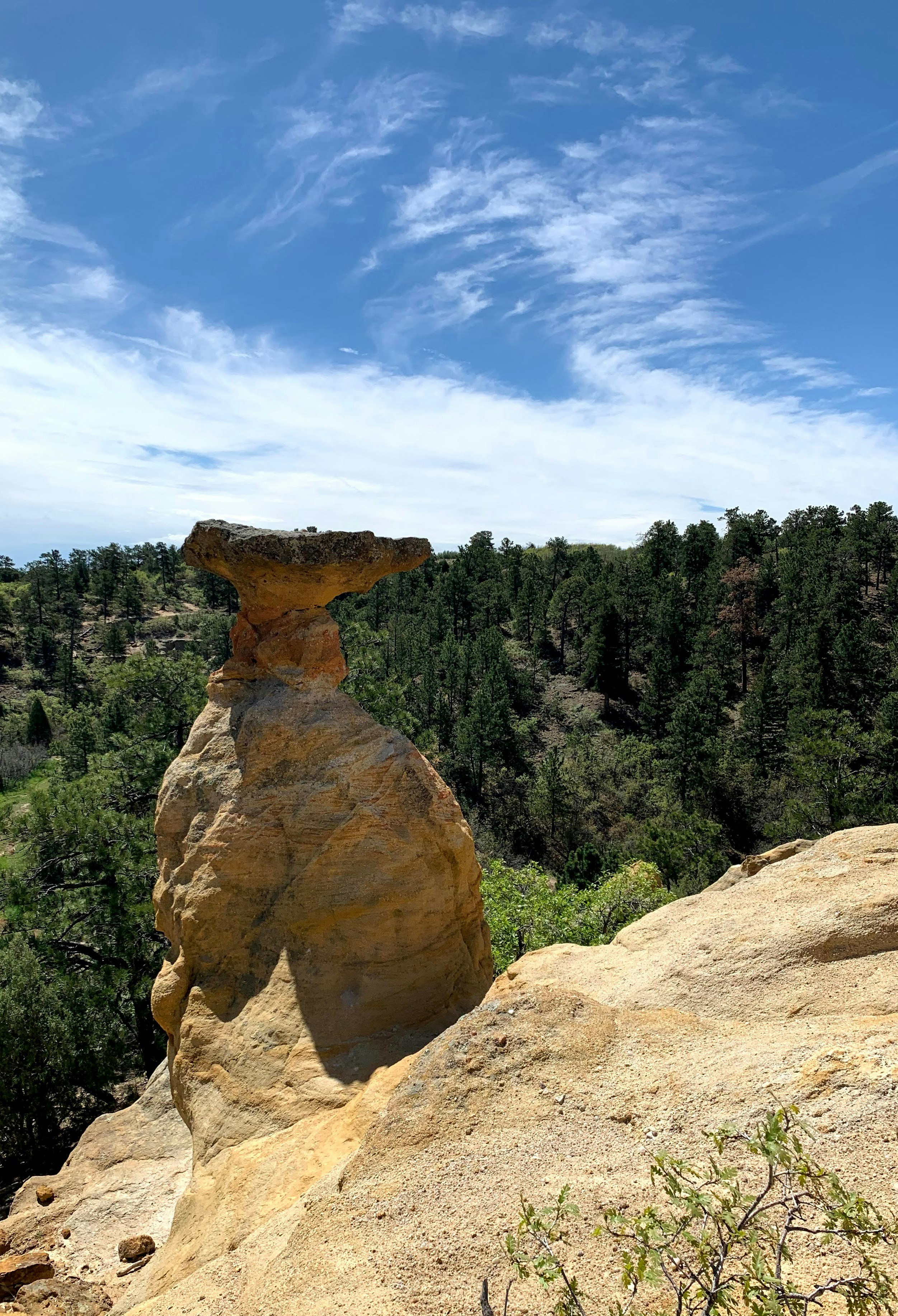 a rock formation in the middle of a forest