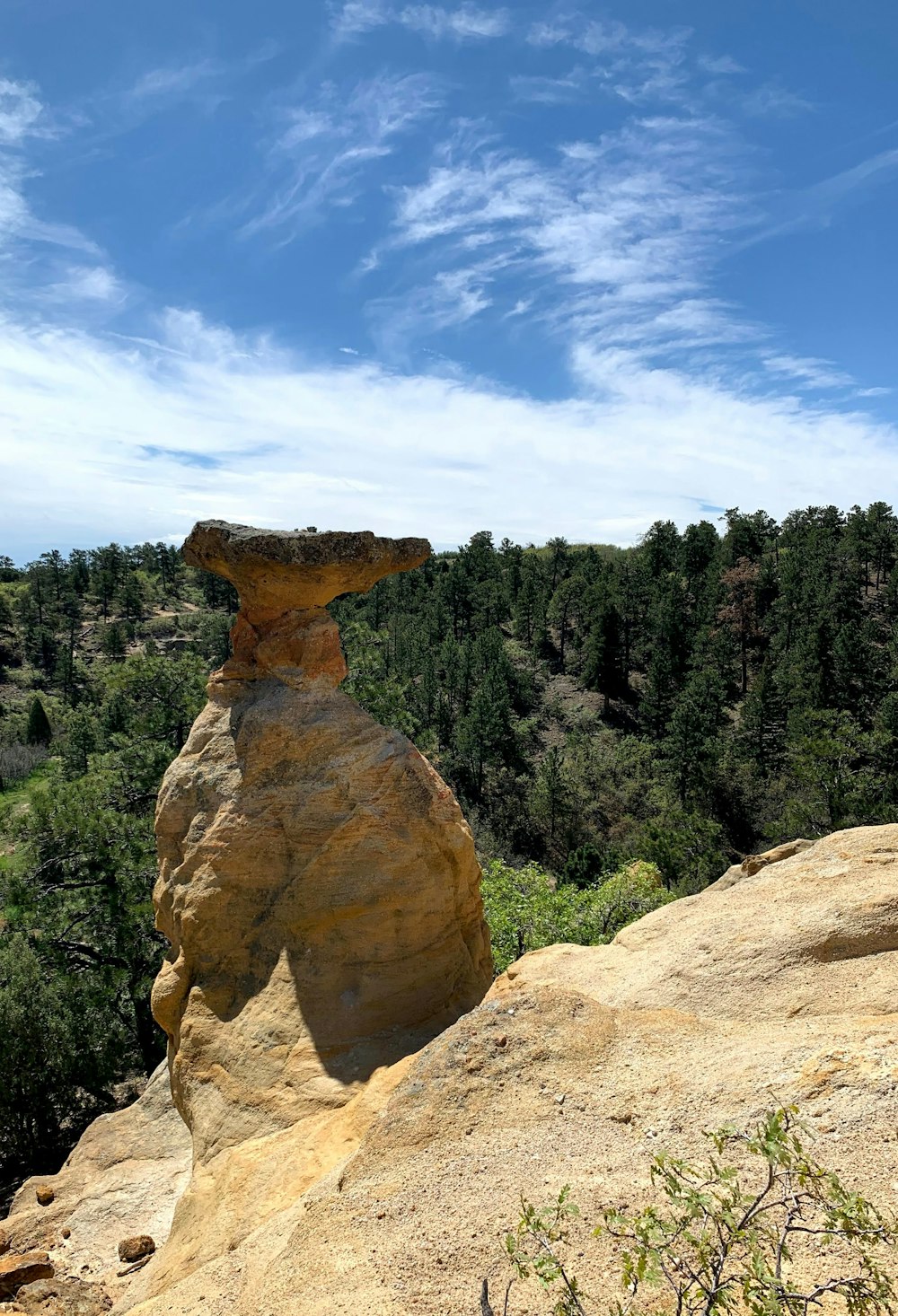 a rock formation in the middle of a forest