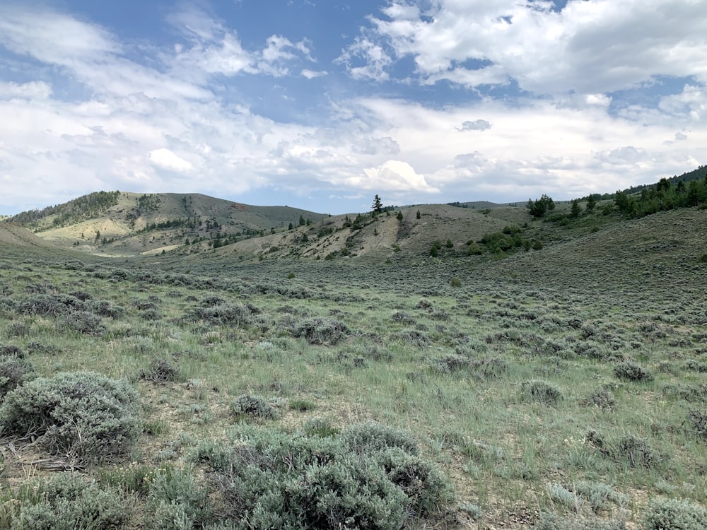 a grassy field with mountains in the background